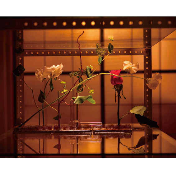 室内空間の中の花をテーマ作品６｜草月竜師範取得『三宅倩』称号